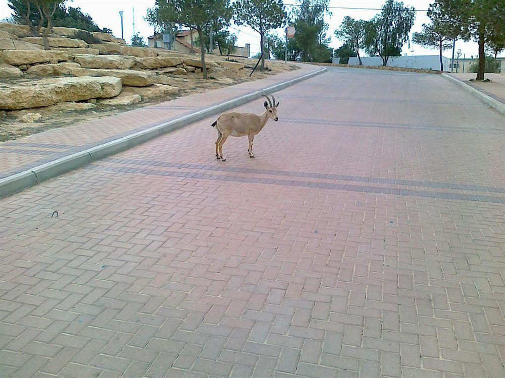 Ramon Suites By Smart Hotels Mitzpe Ramon Exterior foto
