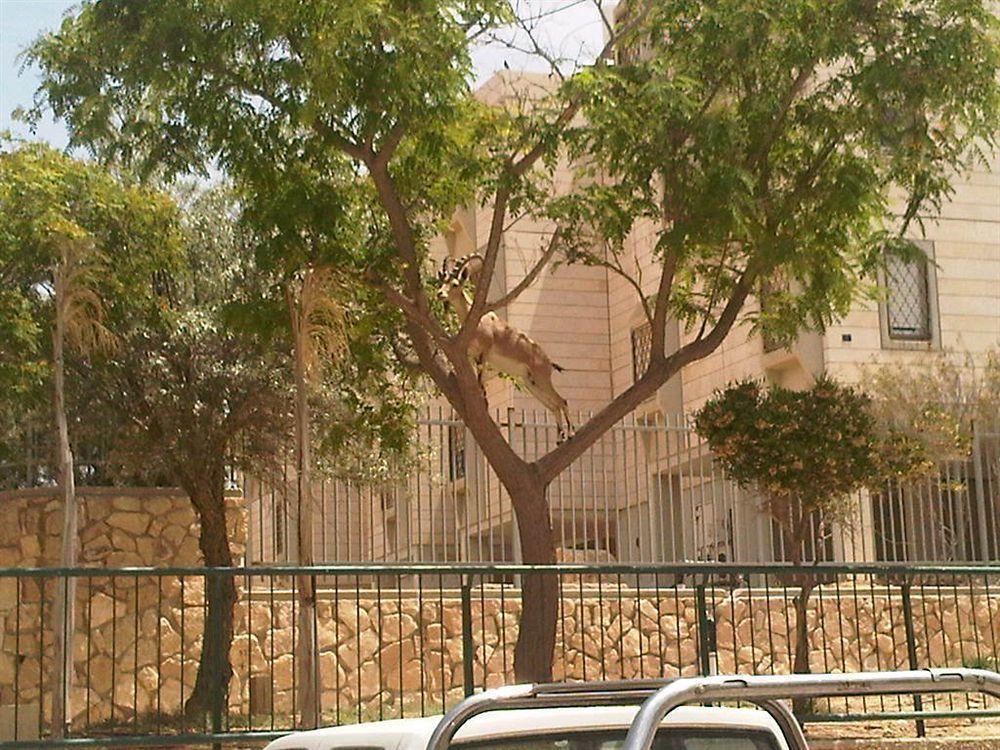 Ramon Suites By Smart Hotels Mitzpe Ramon Exterior foto