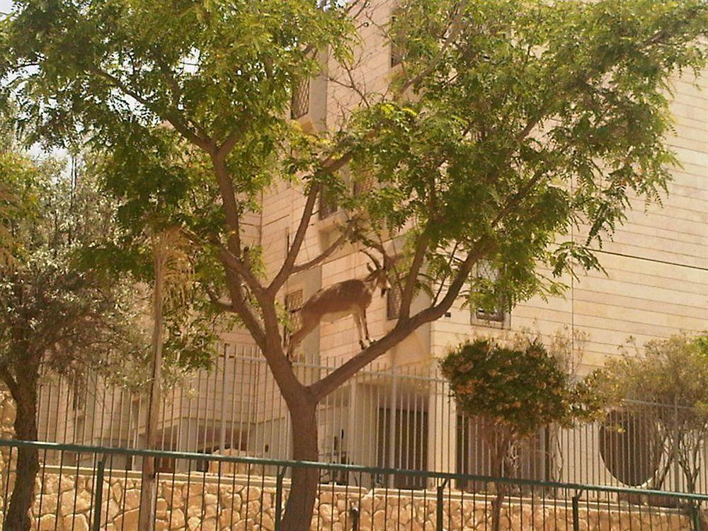 Ramon Suites By Smart Hotels Mitzpe Ramon Exterior foto