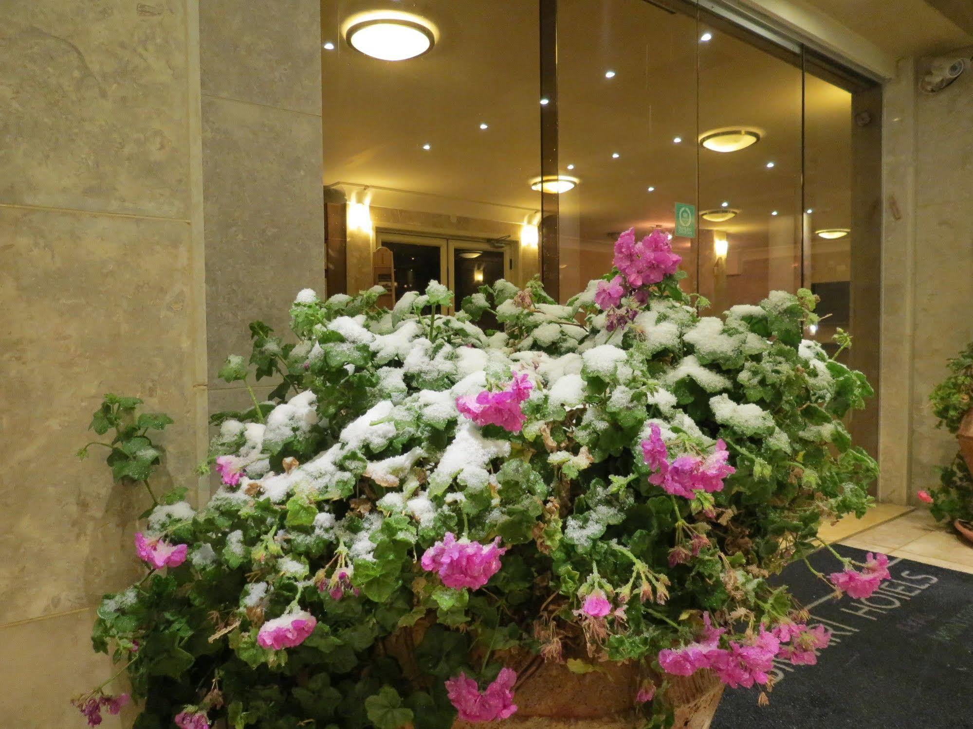 Ramon Suites By Smart Hotels Mitzpe Ramon Exterior foto